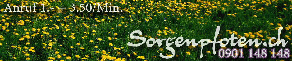 Sorgenpfoten.ch